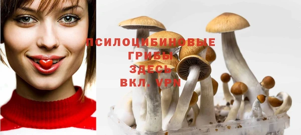 MESCALINE Нефтегорск