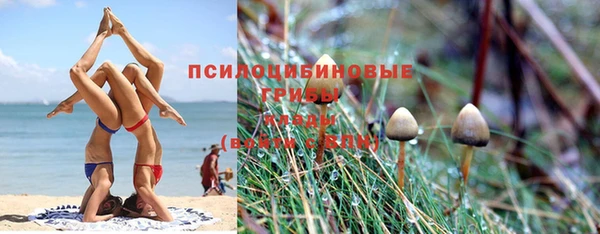 тгк Нефтекумск