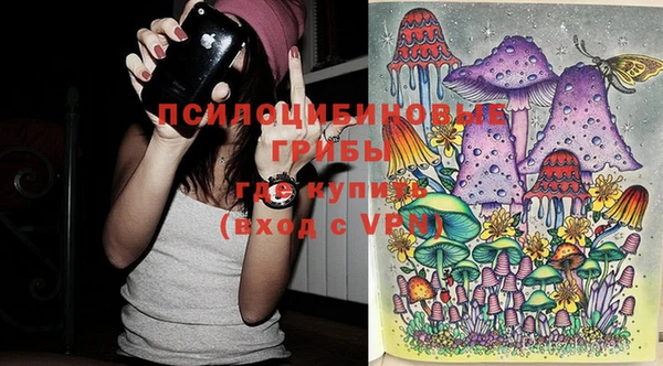 тгк Нефтекумск