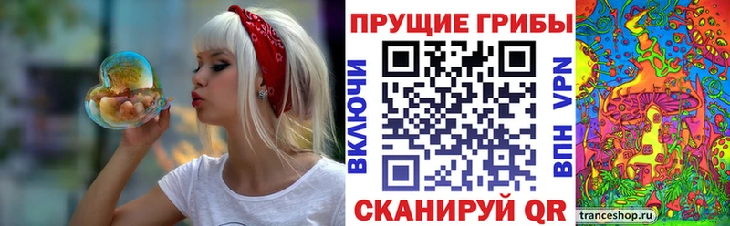 Псилоцибиновые грибы прущие грибы  как найти наркотики  Томилино 